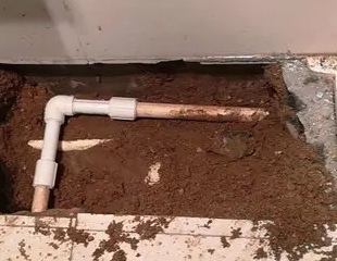 永德测漏水哪家好