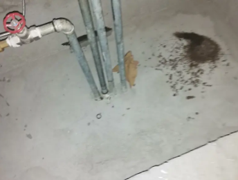 永德卫生间测漏水价格明细