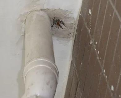 永德漏水检测哪家好